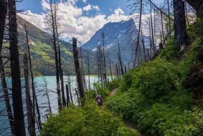 Glacier National Park Self-Guided Driving Audio Tour - Price and Value: $16.99 for Up to 4 People