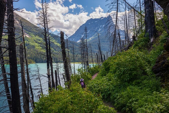 Glacier National Park Self-Guided Driving Audio Tour - Price and Value: $16.99 for Up to 4 People