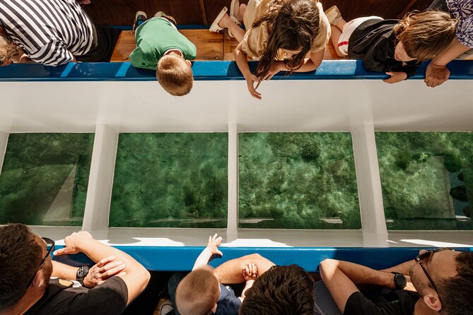 Glass boat tour Fažana with swimming stop - Key highlights to know before you go