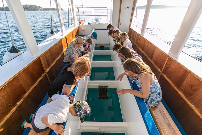 Glass boat tour Fažana with swimming stop - Brijuni National Park: Marine Life and Sea-Plant Details