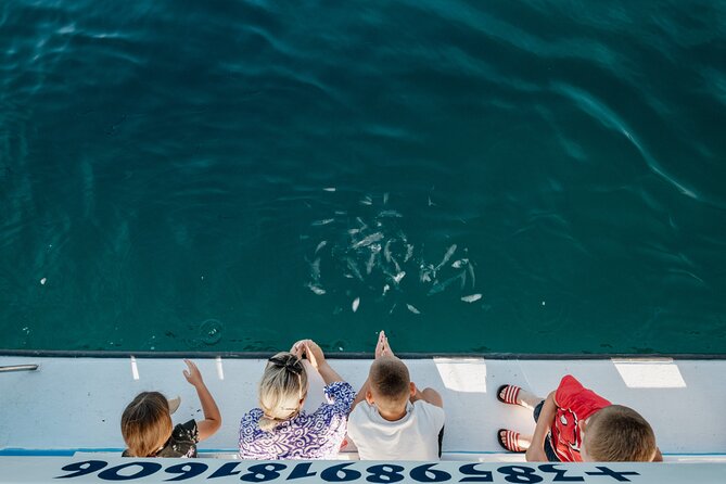 Glass boat tour Fažana with swimming stop - Price and Value: Why $35.80 Can Make Sense