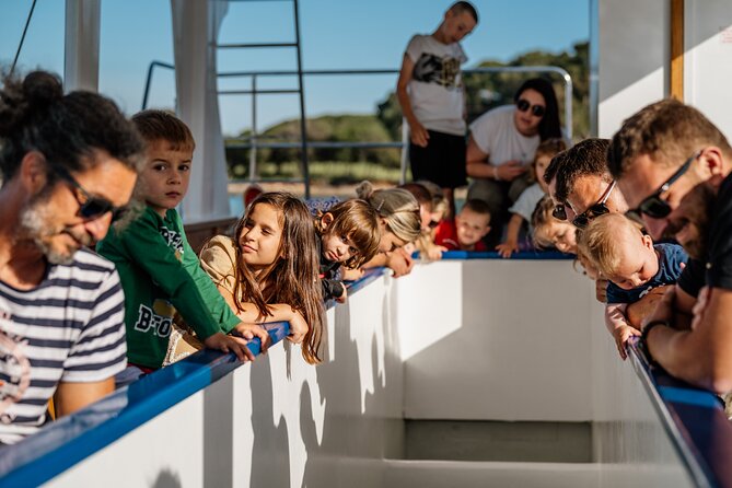 Glass boat tour Fažana with swimming stop - Timing, Duration, and What to Wear
