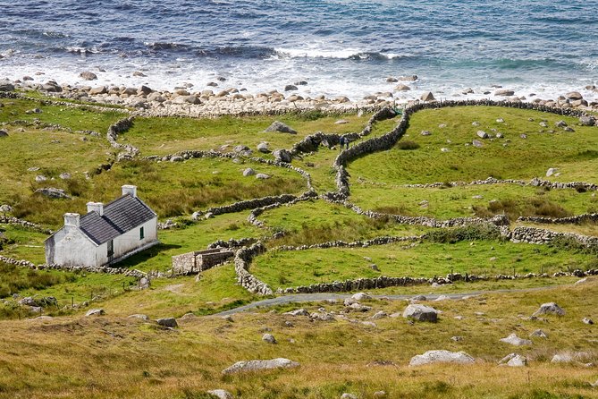 Glenveagh National Park and Gaeltacht Tour - Glenveagh Castle and the national park: where the deer and the mansion meet