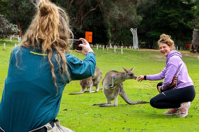 Grampians National Park Small-Group Eco Tour from Melbourne - Wonderland Loop hike: the 30 minutes that wants shoes and care