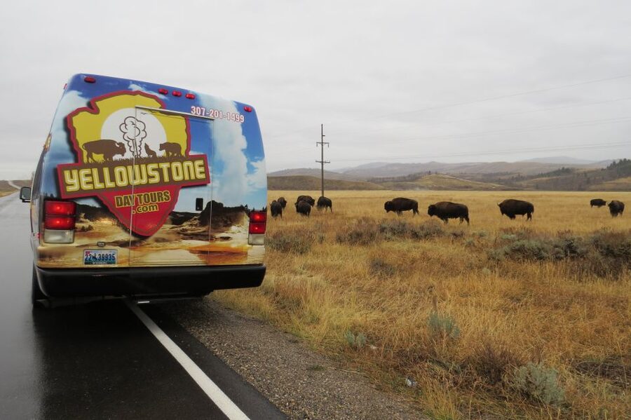 Grand Teton National Park: Full-Day Tour with Boat Ride - Key highlights that make this day trip work