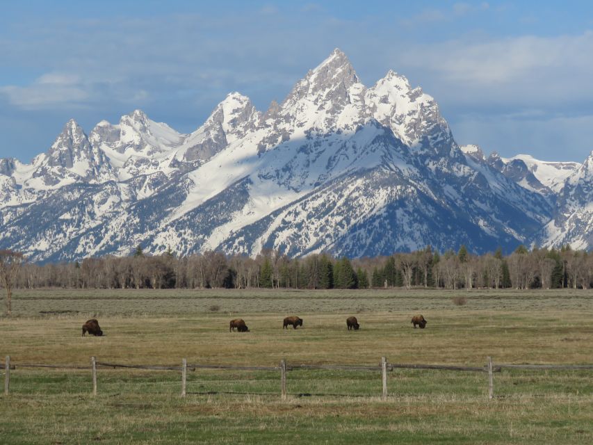 Grand Teton National Park: Full-Day Tour with Boat Ride - Jackson Lake to Jenny Lake: The Boat Ride That Changes the Day