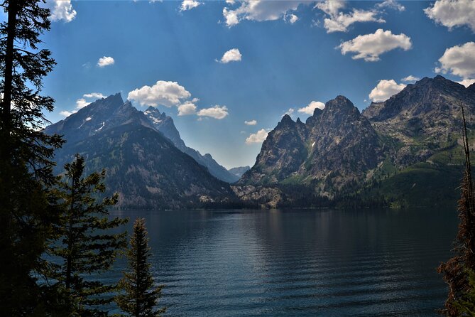 Grand Teton National Park Private Full Day Tour - Schwabacher Landing for moose and beavers (yes, really)
