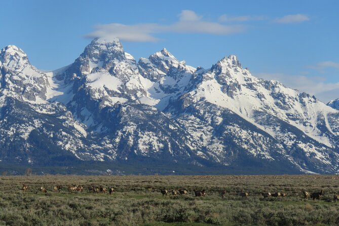 Grand Teton National Park - PRIVATE Sunrise Tour from Jackson Hole - Price and logistics: is $487.50 per person worth it?