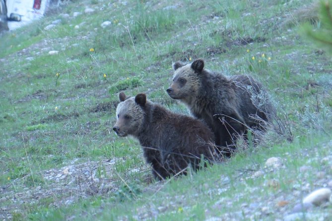 Grand Teton National Park - Sunrise Tour from Jackson Hole - Why a 6:30 a.m. Grand Teton start is worth it