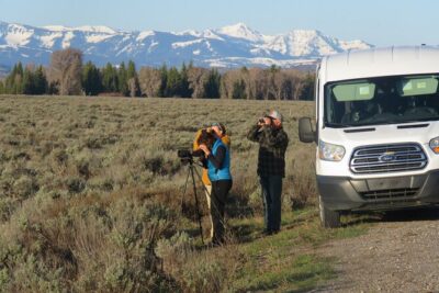 Grand Teton National Park - Sunrise Tour from Jackson Hole - Breakfast included: fueling an early wildlife hunt