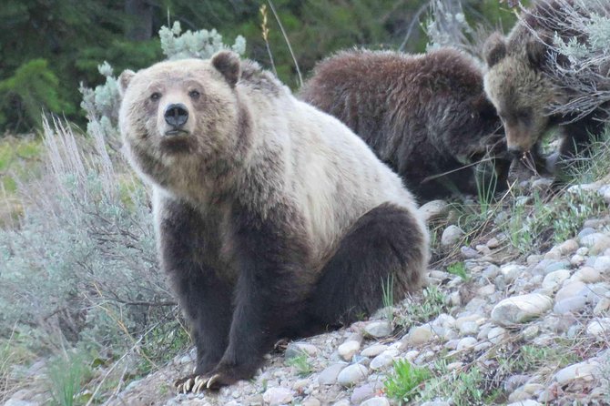 Grand Teton National Park - Sunrise Tour from Jackson Hole - Jenny Lake overlook: a glacier story and a name you’ll hear