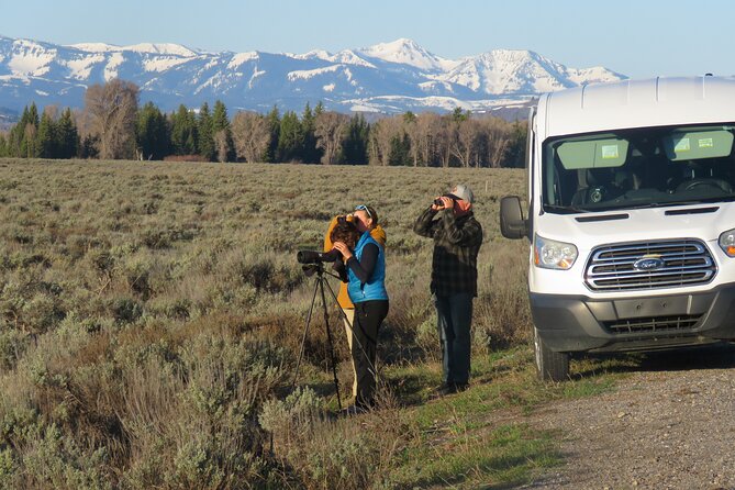 Grand Teton National Park - Sunrise Tour from Jackson Hole - Breakfast included: fueling an early wildlife hunt