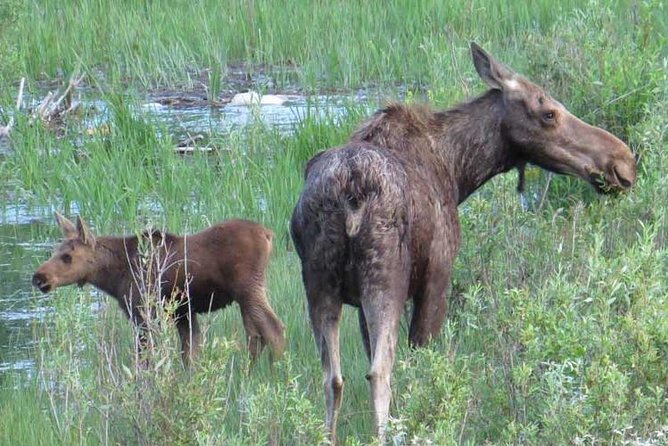 Grand Teton National Park - Sunset Guided Tour from Jackson Hole - Sunset Timing in Grand Teton: Why This 4 to 5 Hours Works
