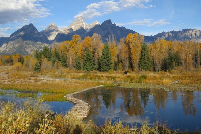 Grand Teton National Park - Sunset Guided Tour from Jackson Hole - Dinner Included: Real Food Before the Dusk Drive
