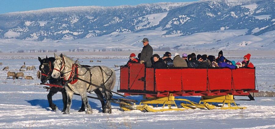 Grand Teton National Park: Wildlife Tour and Sleigh Ride - Horse-drawn sleigh ride on the refuge: Dec 20 to early April
