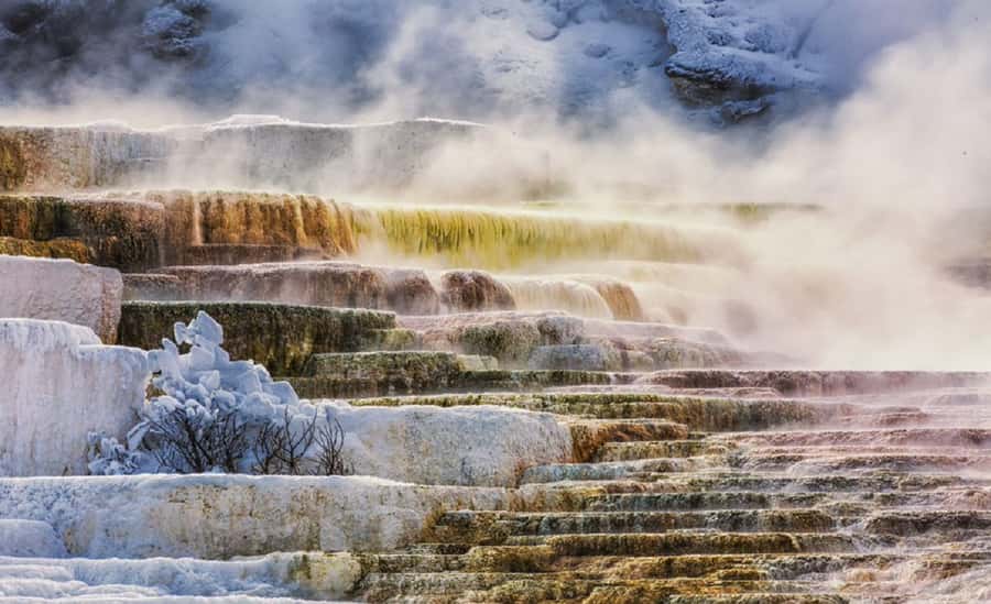 Grand Teton,Yellowstone National Park 3-Day Tour from SLC - The big picture: SLC to Jackson to two national parks