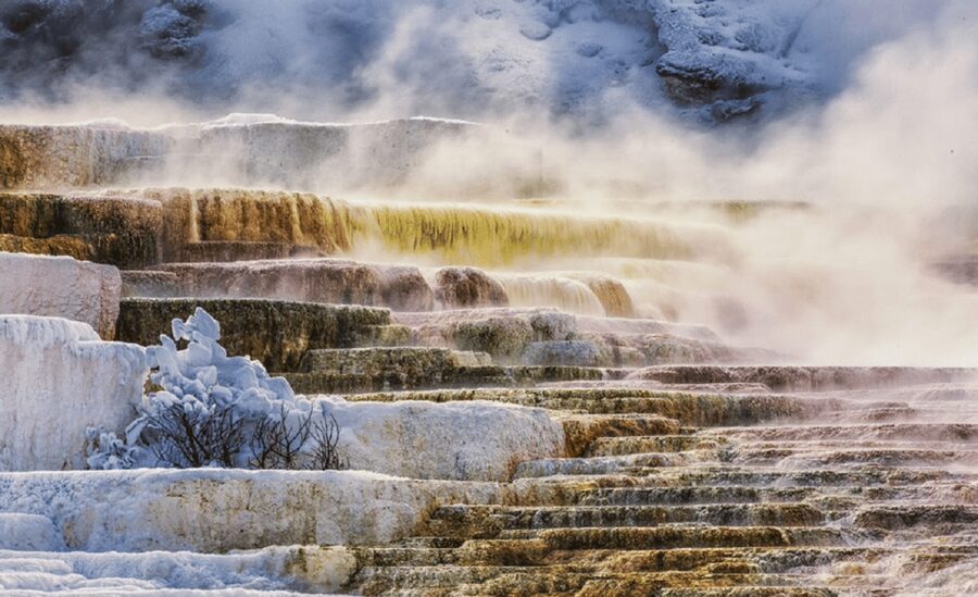 Grand Teton,Yellowstone National Park 5-Day Tour from SLC - When Yellowstone gates open changes what you can see (especially early May 2026)