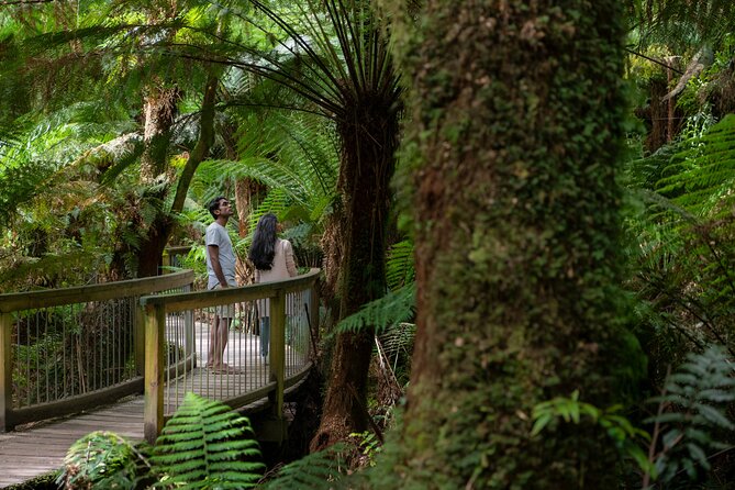 Great Ocean Road Grampians 3 Day National Park Tour Melbourne Roundtrip - Key highlights to know before you go