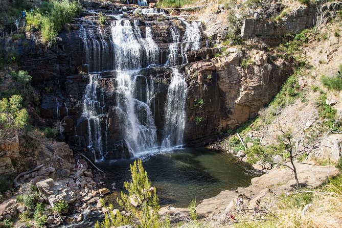 Great Ocean Road Grampians 3 Day National Park Tour Melbourne Roundtrip - What to eat and what to budget for meals