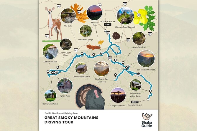 Great Smoky Mountains National Park Self-Guided Audio Tour - Price and flexibility: $12.79 for your whole vehicle group