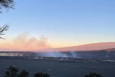 Guided 3-Hour Hike in Volcanoes National Park - From Volcanic Ground to Rainforest: Tree Ferns, Ohia, and Honey Creepers