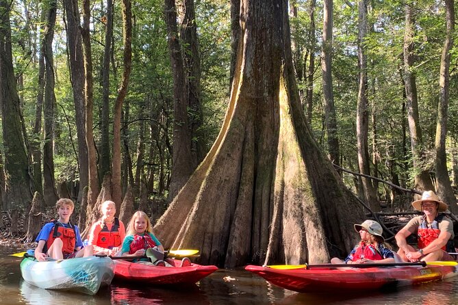Guided Congaree National Park Kayak Tour - Key Highlights You’ll Actually Care About