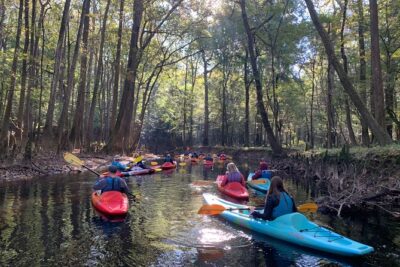 Guided Congaree National Park Kayak Tour - Kingsnake Trailhead Timing: How the 2–3 Hours Really Works