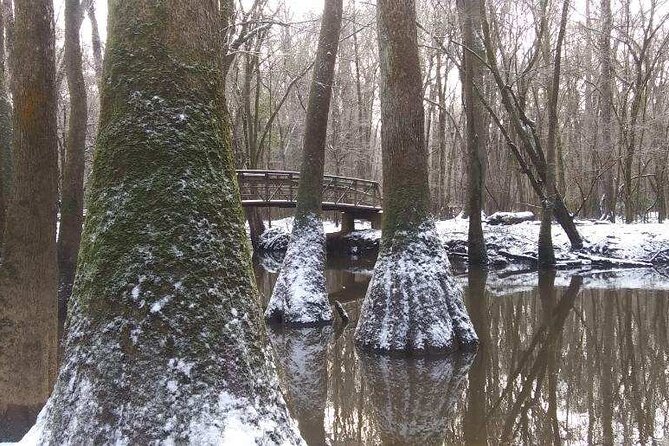 Guided Congaree National Park Kayak Tour - Rain or Shine: Dressing for Cedar Creek