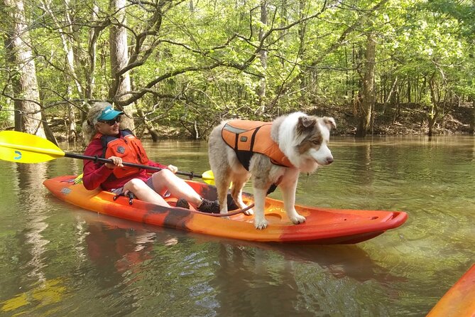 Guided Congaree National Park Kayak Tour - Price and Value: Is $110 Worth It?
