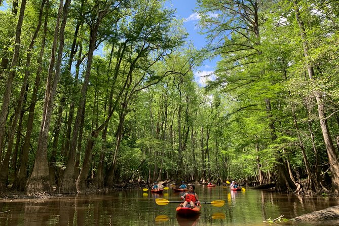 Guided Congaree National Park Kayak Tour - Who Should Book This Kayak Tour—and Who Might Skip It