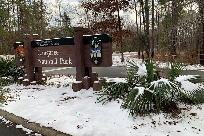 Guided Congaree National Park Kayak Tour - Should You Book? My Practical Take