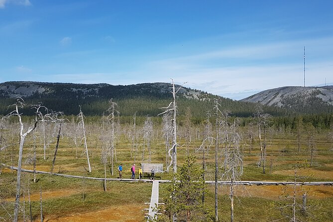Guided easy hike in Finland deepest gorge in Pyhä-Luosto National Park - The geology lesson: 2.5 billion years in a couple of hours