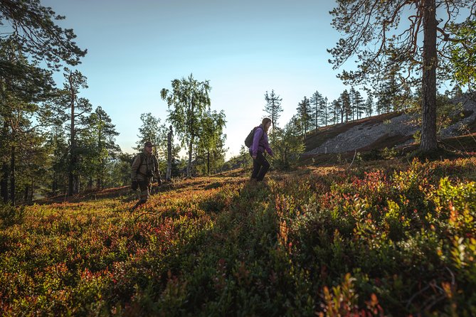 Guided easy hike in Finland deepest gorge in Pyhä-Luosto National Park - Price and value: what you get for about $80.95