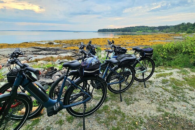 Guided Ebike Tour of Acadia National Park Carriage Roads - E-bikes here: help on the hills, and still real pedaling