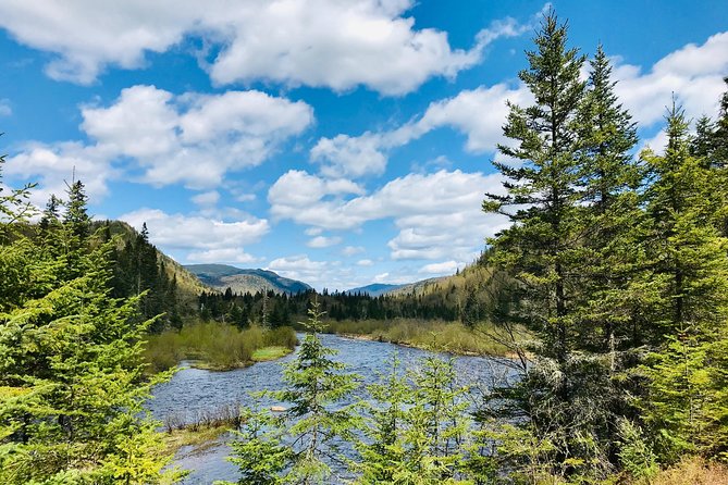 Guided Hike in Jacques-Cartier National Park - Stop 1: the “gourmet hike” rhythm (and why it works)