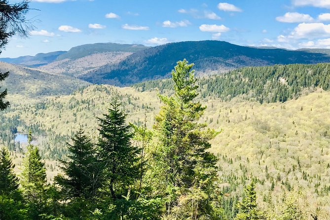 Guided Hike in Jacques-Cartier National Park - Weather planning: rain doesn’t stop the day