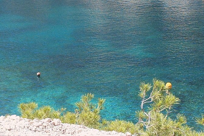 Guided hike in the Calanques National Park - Meeting at Luminy (13009 Marseille): what the group size really changes