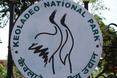 Guided Keoladeo Bird National Park Tour in Bharatpur from Jaipur - Entering Keoladeo National Park: Entrance Tickets and Your Rickshaw or Cycle Safari