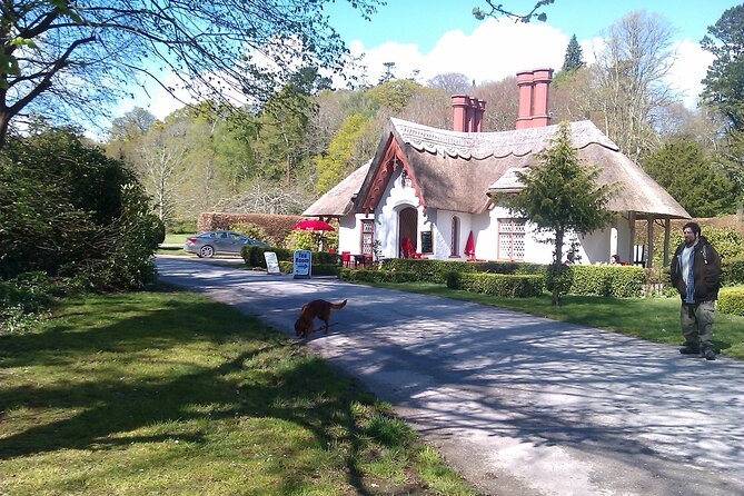 Guided Killarney National Park Walking Tour - Meeting St. Mary’s: where your 11:00am start actually begins