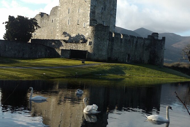 Guided Killarney National Park Walking Tour - Pugin’s St. Mary’s and famine shelter stories on your first stretch