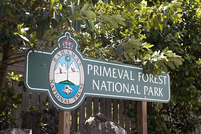 Guided Primeval Nature Walk Tour in Primeval Forest National Park - Key highlights you’ll care about