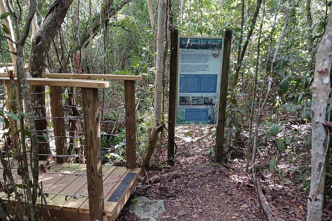 Guided Primeval Nature Walk Tour in Primeval Forest National Park - Getting oriented at the Cruise Port and the value of a real guide