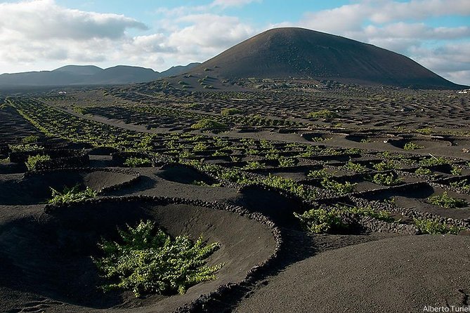 Guided tour: Timanfaya National Park and La Geria with pick-up - Key highlights worth your attention