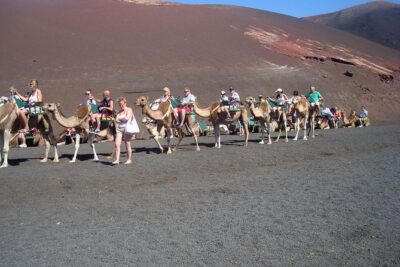 Guided tour: Timanfaya National Park and La Geria with pick-up - Price and value: what you’re actually paying for