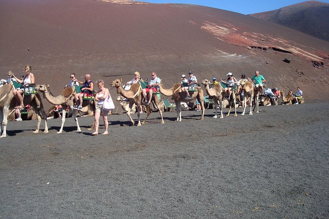 Guided tour: Timanfaya National Park and La Geria with pick-up - Price and value: what you’re actually paying for