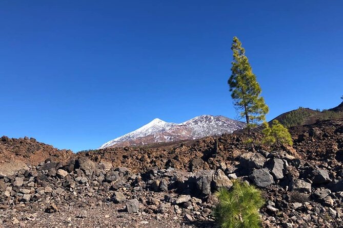Guided Tour to Teide National Park in Tenerife - Key Highlights You’ll Actually Notice
