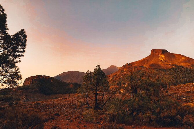 Guided Tour to Teide National Park in Tenerife - Morning Pickup and the 8:00 AM Start