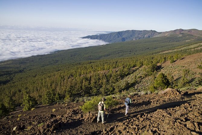 Guided Tour to Teide National Park in Tenerife - Coach Time, Stops, and Staying Comfortable