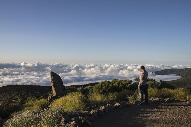 Guided Tour to Teide National Park in Tenerife - Price and Value: What You Pay for, What’s Extra, What You Should Budget