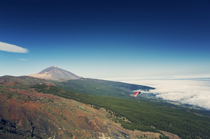 Guided Tour to Teide National Park in Tenerife - Who This Teide Tour Fits Best (and Who Might Want to Rethink)